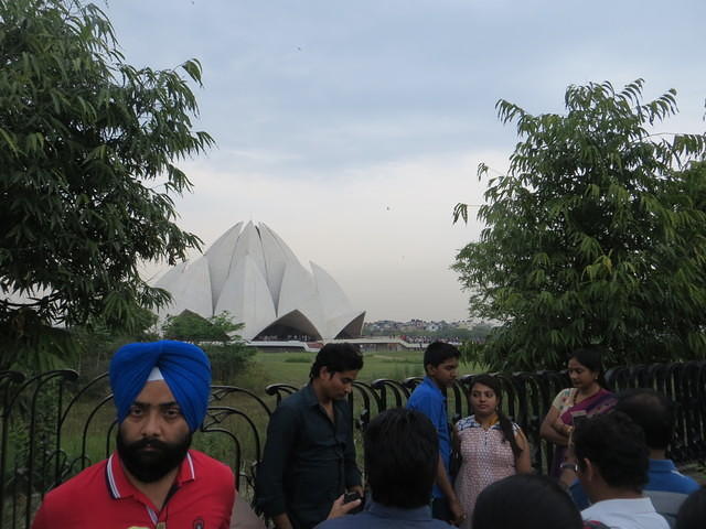 IMG 7352