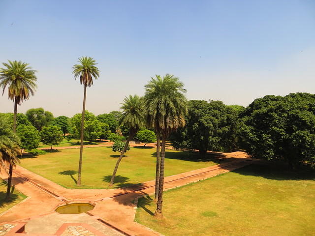 IMG 0256