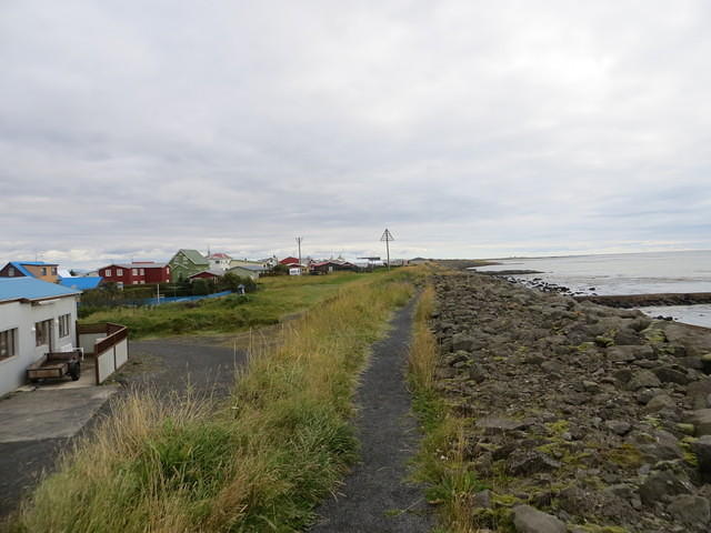 IMG 5058