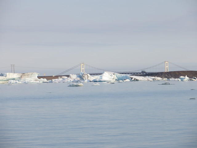 IMG 5271