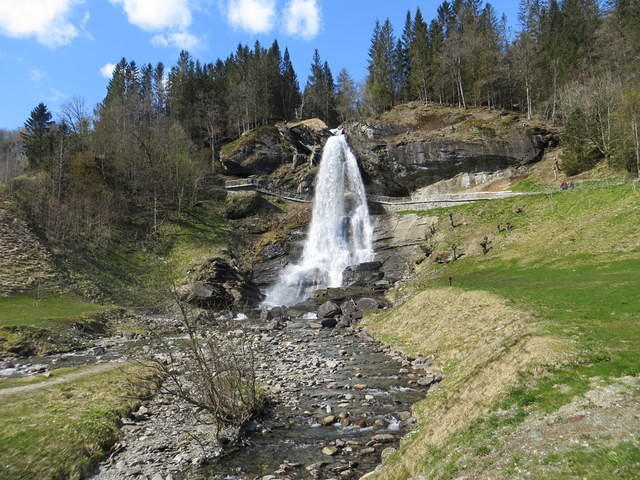 IMG 7706