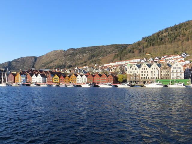 IMG 7778