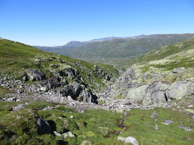 IMG 0445