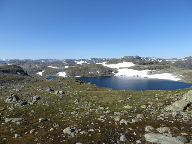 IMG 0498