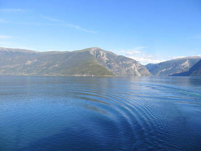 IMG 5289