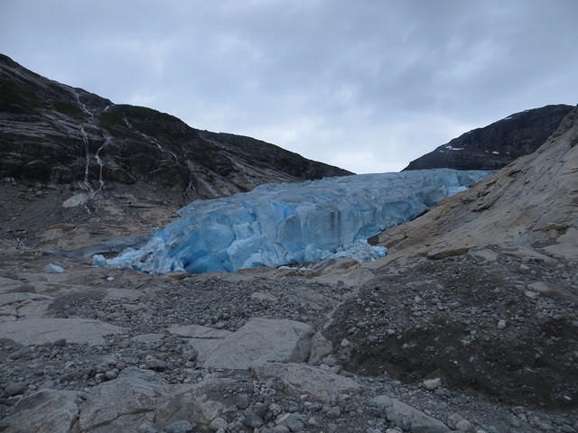 IMG 5317