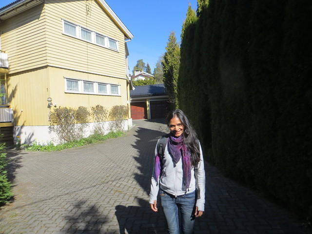IMG 3919