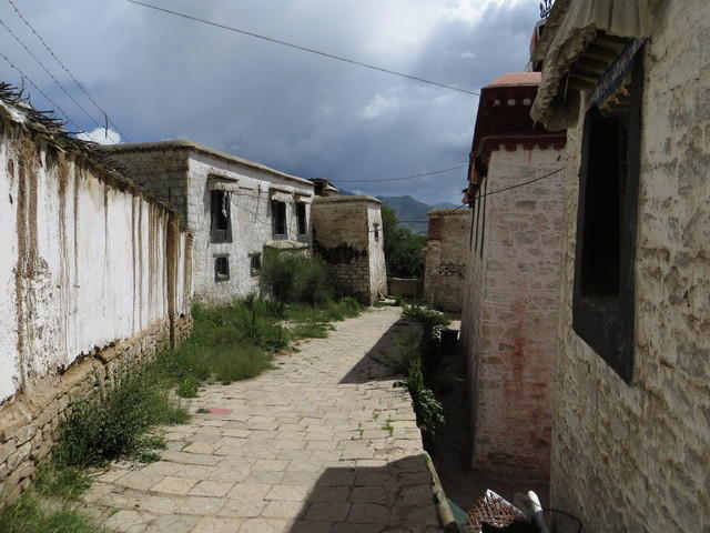 IMG 1521