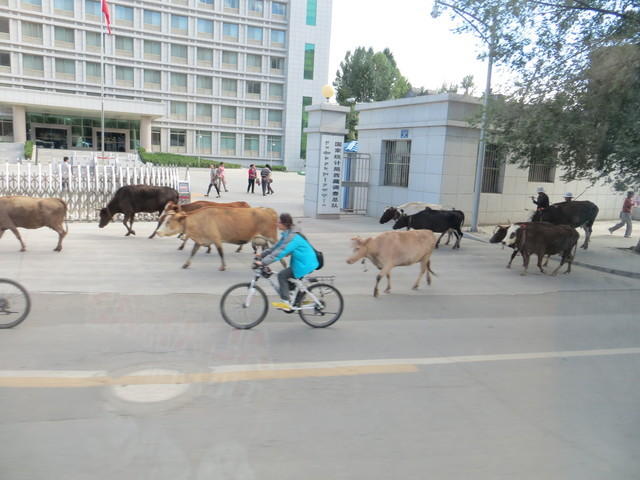 IMG 1550