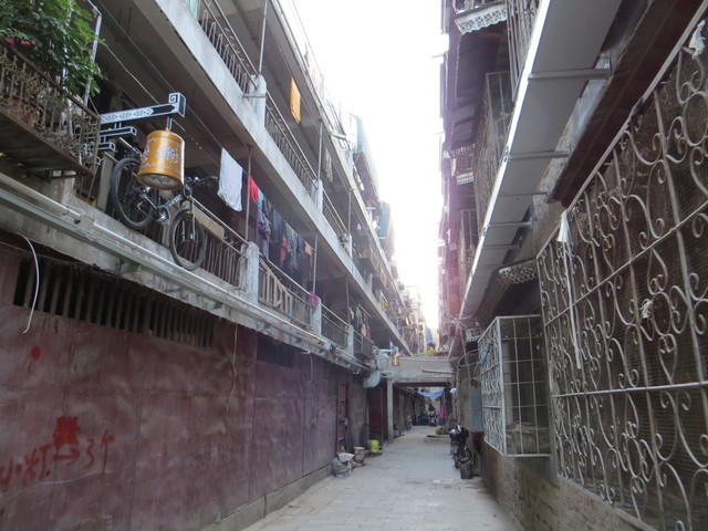 IMG 1564