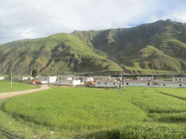 IMG 1749