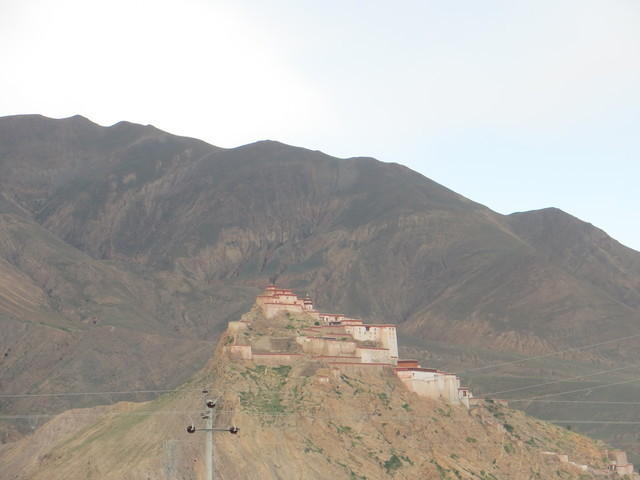 IMG 1954