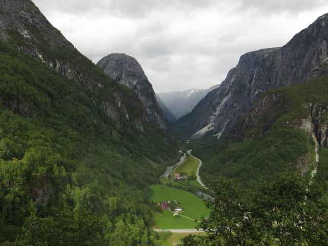 IMG 0047
