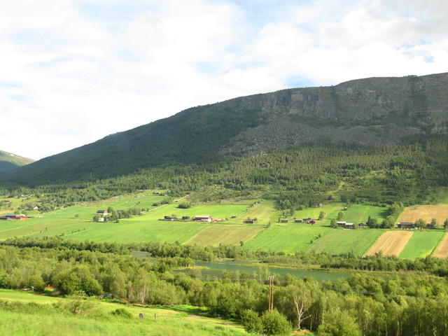 IMG 0252
