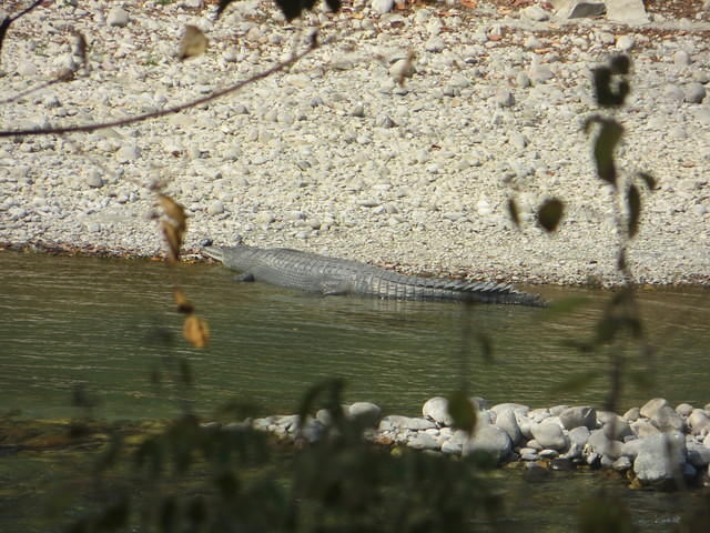 IMG 1918
