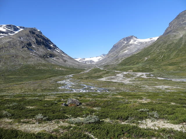 IMG 4516