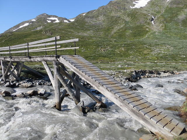 IMG 4519