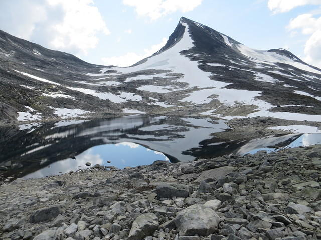 IMG 4543