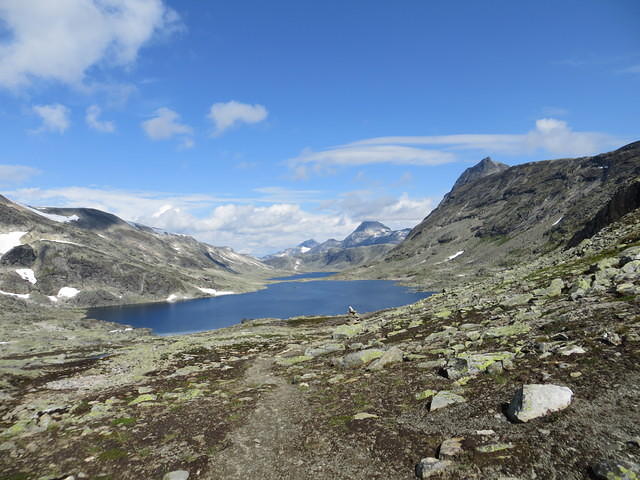 IMG 4591