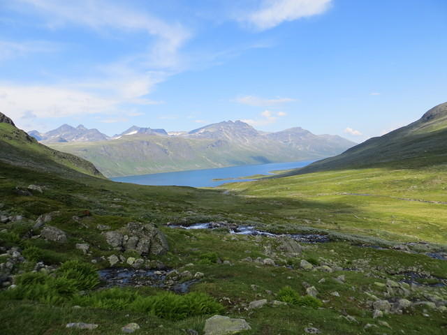 IMG 4638