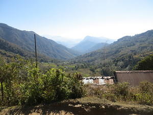 IMG 6323
