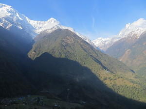 IMG 6435
