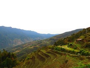 IMG 6848