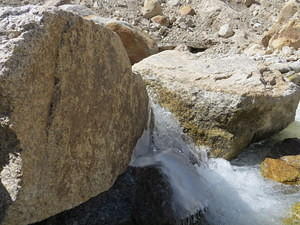 IMG 0702
