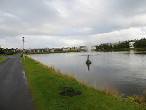 IMG 4946