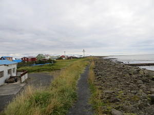 IMG 5058