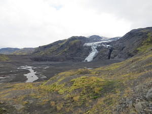 IMG 5081