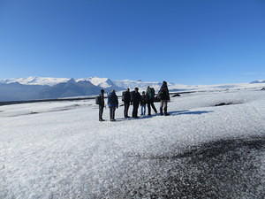 IMG 5195