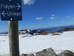 IMG 7876