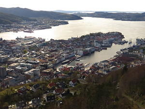 IMG 7962