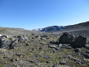 IMG 0465
