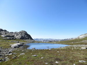 IMG 0505