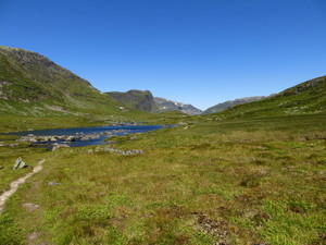 IMG 0520