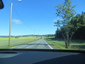 IMG 5054