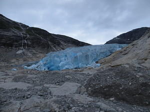 IMG 5317