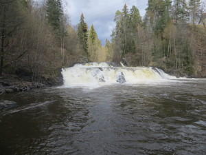 IMG 3835
