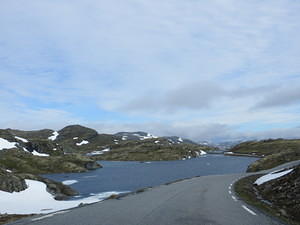 IMG 0129