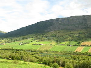 IMG 0252