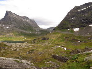 IMG 0392