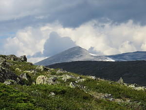IMG 4183