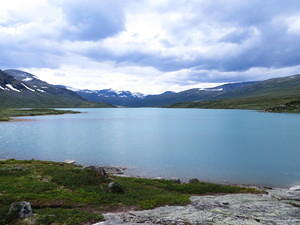 IMG 4196