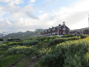 IMG 4248
