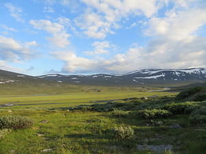 IMG 4249