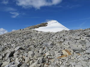 IMG 4281