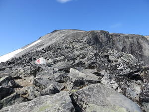 IMG 4387
