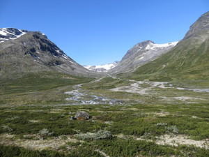 IMG 4516